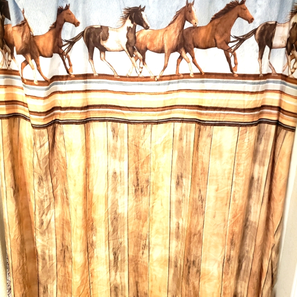 Shower curtain
